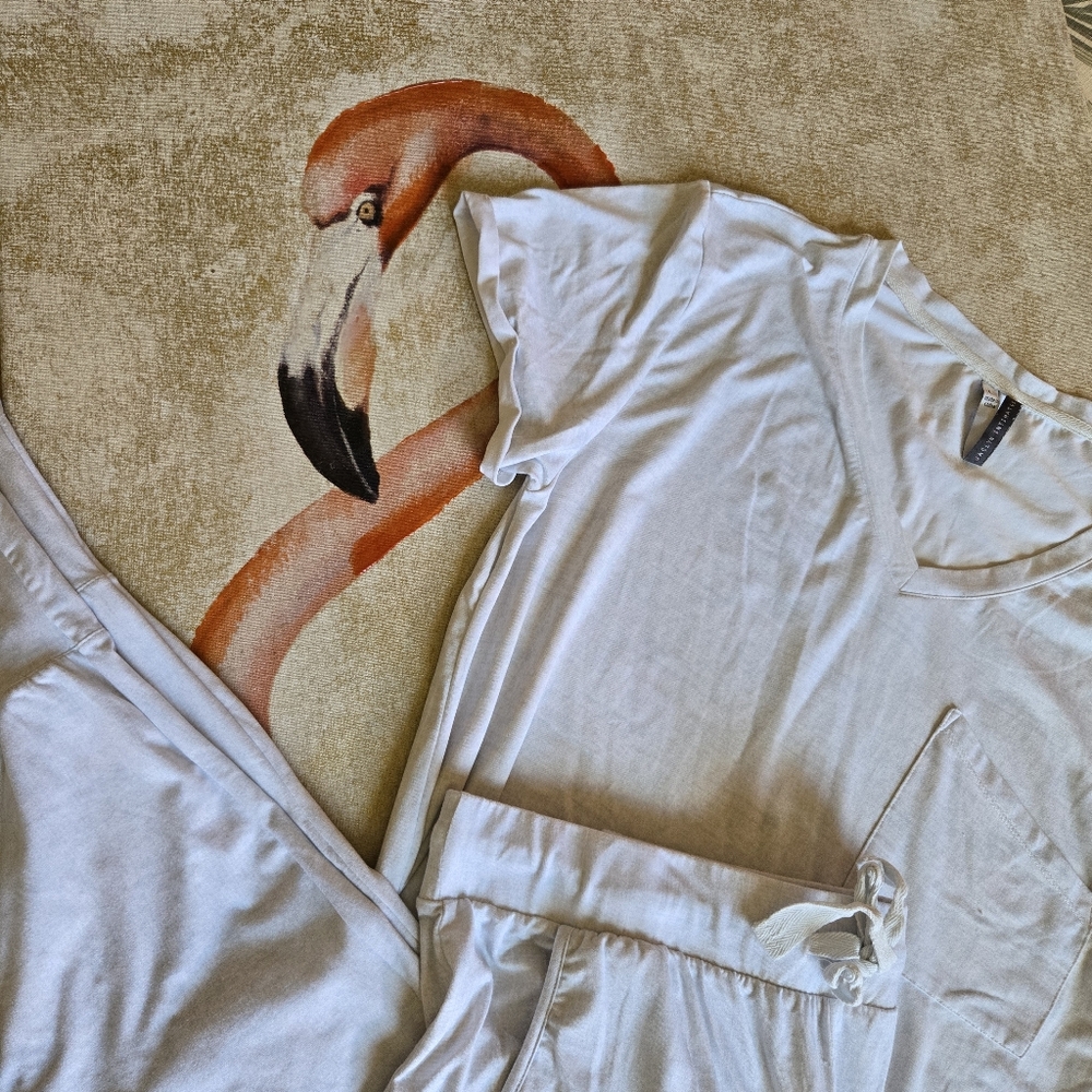3/$25 Jaclyn Intimates Sleepwear Pajama Pants Set Super Soft Baby Blue White L
